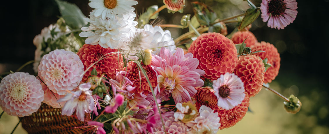 “Bloemen en tuinfotografie”